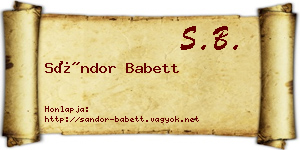 Sándor Babett névjegykártya